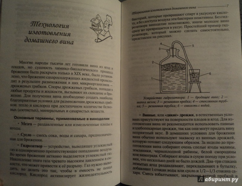 Иллюстрация 18 из 27 для Вино и самогон - Владимир Хлебников | Лабиринт - книги. Источник: Miss congeniality