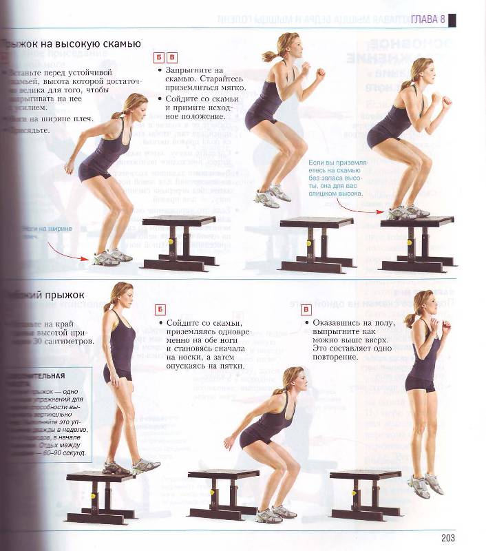 Иллюстрация 18 из 19 для Лучшие силовые упражнения и планы тренировок для женщин - Адам Кэмпбелл | Лабиринт - книги. Источник: Матрёна