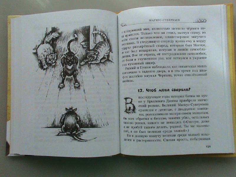 Иллюстрация 8 из 30 для Мышонок по имени Вольф - Дик Кинг-Смит | Лабиринт - книги. Источник: Обычная москвичка