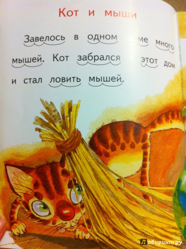 Иллюстрация 9 из 16 для Кот и мыши - Лев Толстой | Лабиринт - книги. Источник: Фирсова  Наталья