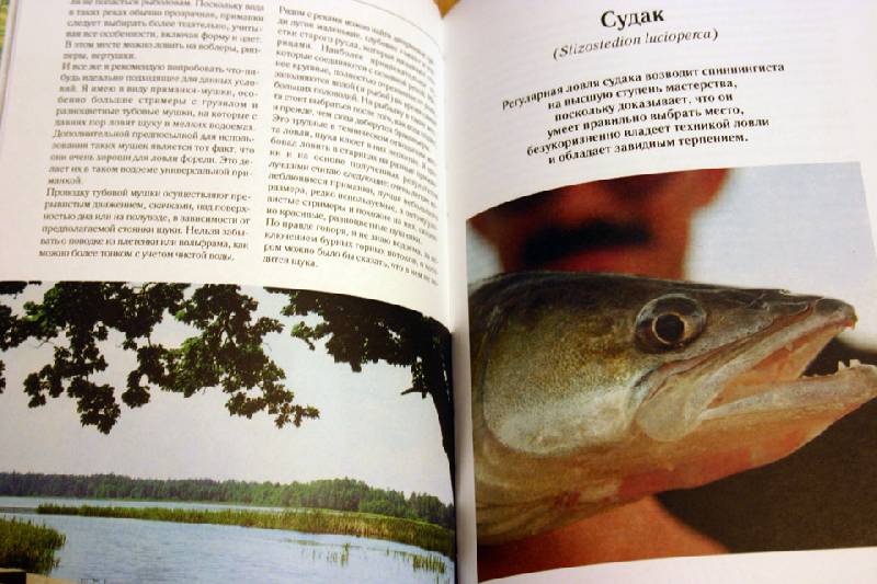 Иллюстрация 8 из 10 для Рыбалка: ловля спиннингом - Яцек Колендович | Лабиринт - книги. Источник: Иванна