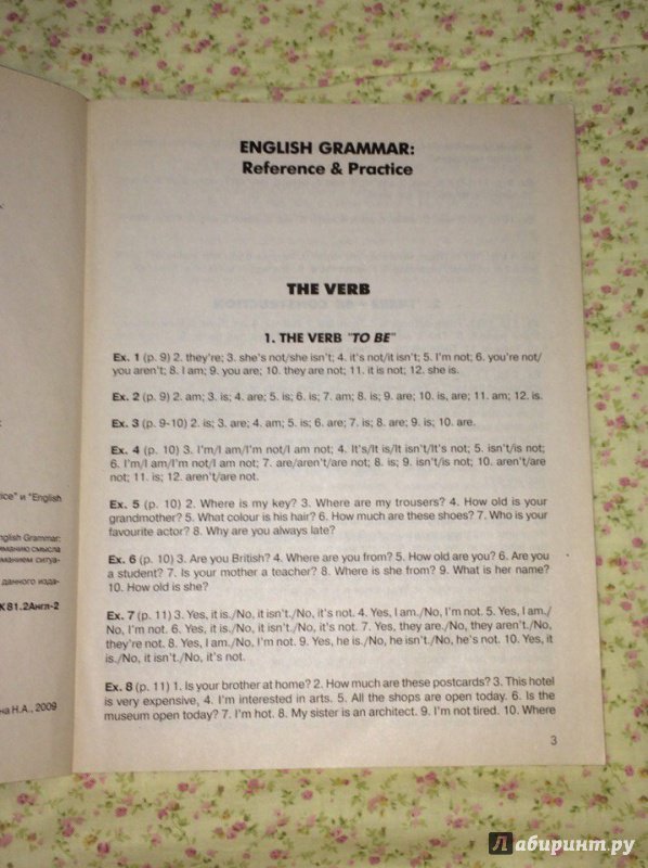 Иллюстрация 3 из 16 для The Keys for "English Grammar. Reference and Practice" and "English Grammar. Test File" (Ключи) - Дроздова, Курочкина, Берестова | Лабиринт - книги. Источник: Rosie  Barbara