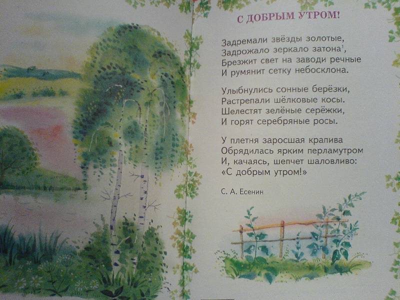 Иллюстрация 29 из 40 для Времена года. Стихи русских поэтов | Лабиринт - книги. Источник: Киви