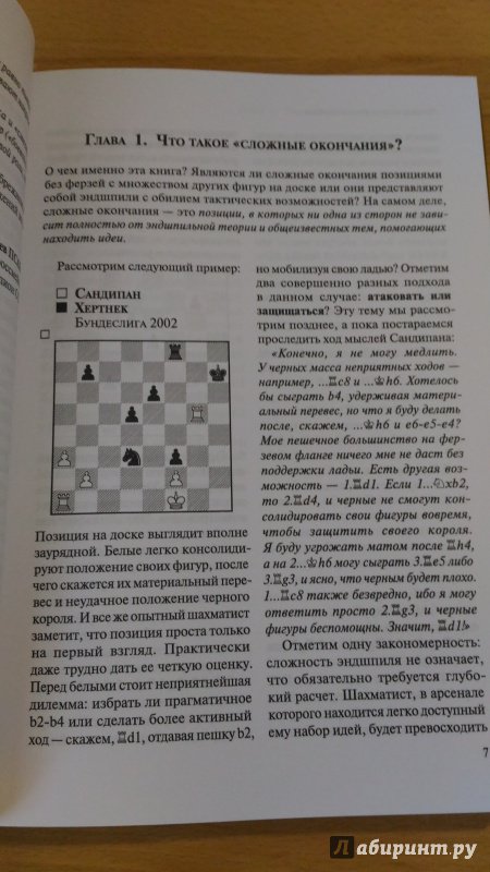 Иллюстрация 7 из 34 для Шахматы. Мастерство игры в эндшпиле - Даниил Народицкий | Лабиринт - книги. Источник: Wiseman