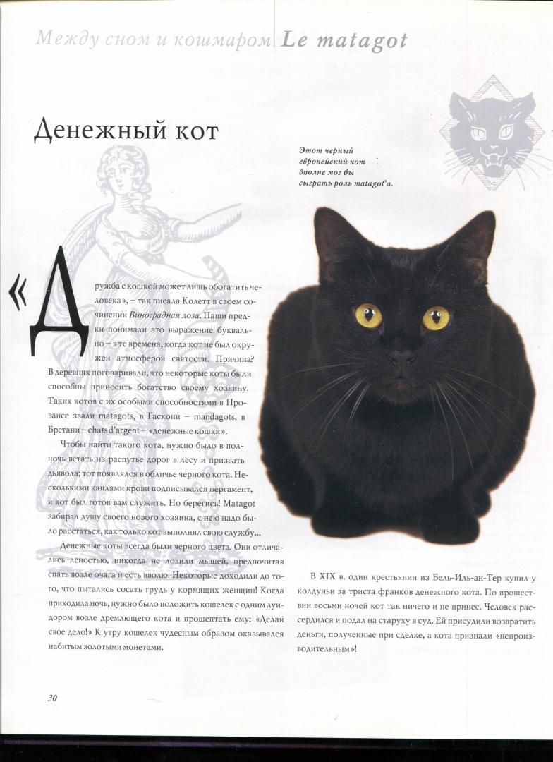 Иллюстрация 21 из 24 для 100 легендарных кошек - Стефано Сальвиати | Лабиринт - книги. Источник: Лабиринт