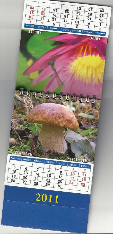 Иллюстрация 6 из 7 для Календарь 2011. Календарь природы (10103) | Лабиринт - сувениры. Источник: Белей  Ольга