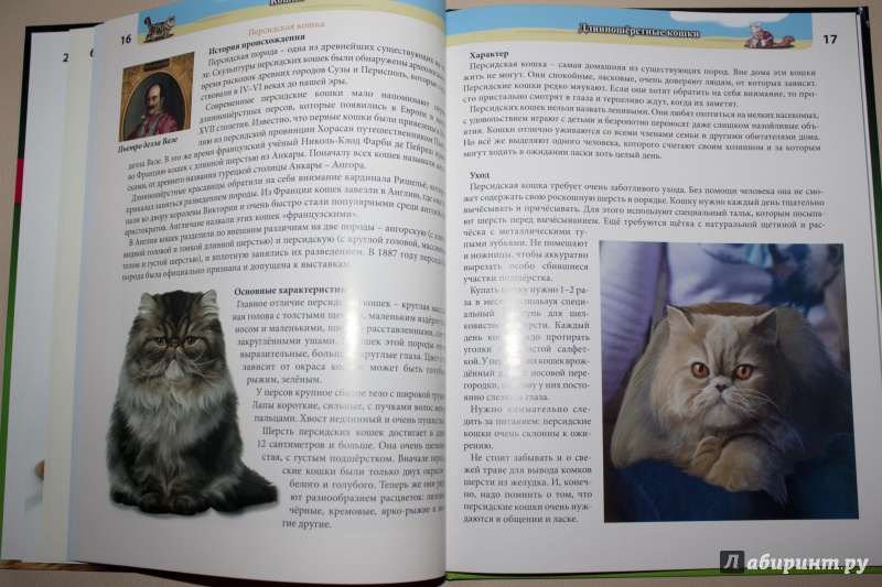Иллюстрация 28 из 28 для Кошки - Леся Калугина | Лабиринт - книги. Источник: Elena  Elena