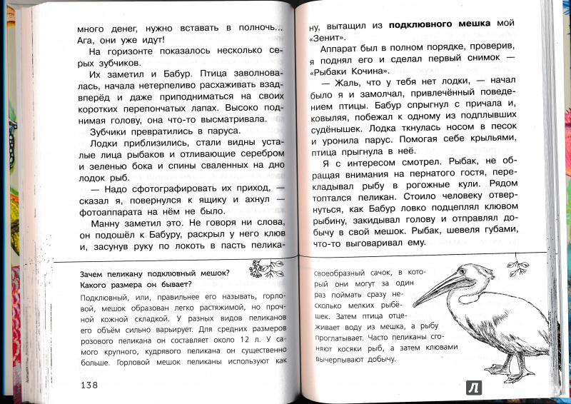 Иллюстрация 44 из 65 для Живые домики. С вопросами и ответами для почемучек - Сахарнов, Мосалов | Лабиринт - книги. Источник: Террил