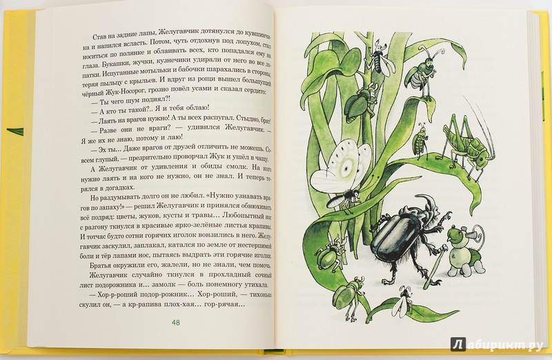 Иллюстрация 56 из 64 для Восемь волшебных желудей, или Приключения Желудино и его младших братьев - Юрий Дьяконов | Лабиринт - книги. Источник: Букландия