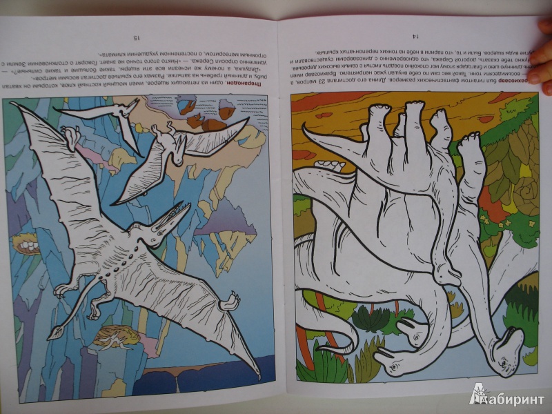 Иллюстрация 11 из 35 для Полный годовой курс занятий 4-5 лет (комплект) - Д. Гончарова | Лабиринт - книги. Источник: Tatyana_G