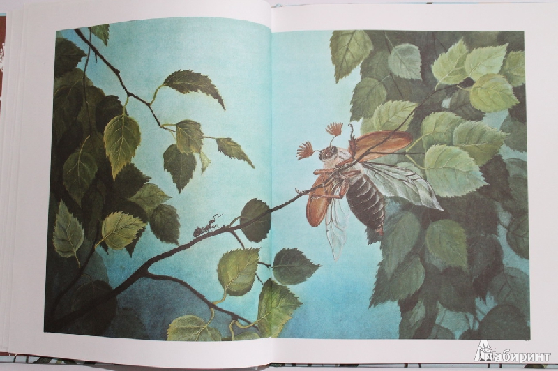 Иллюстрация 7 из 49 для Лесные разведчики - Виталий Бианки | Лабиринт - книги. Источник: Elena