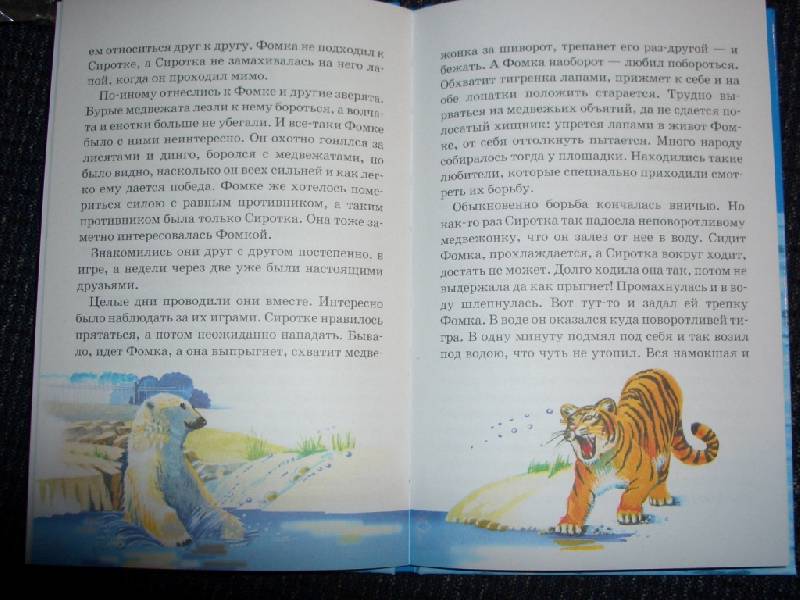Иллюстрация 4 из 9 для Фомка - белый медвежонок - Вера Чаплина | Лабиринт - книги. Источник: sher