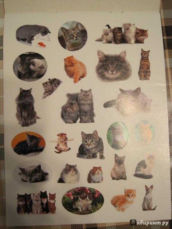 Иллюстрация 7 из 12 для 100 наклеек. Любимые кошки | Лабиринт - книги. Источник: Наталья