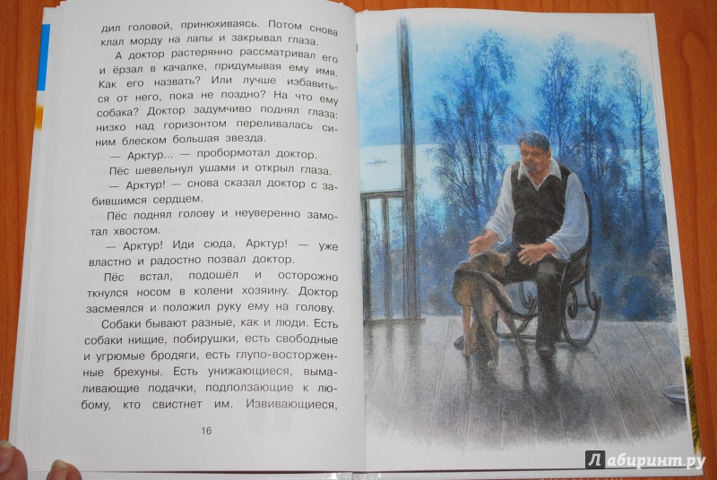 Иллюстрация 12 из 32 для Арктур - гончий пёс - Юрий Казаков | Лабиринт - книги. Источник: Нади