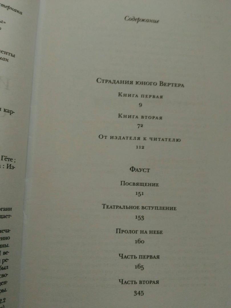 Иллюстрация 7 из 35 для Фауст - Иоганн Гете | Лабиринт - книги. Источник: Ollivika