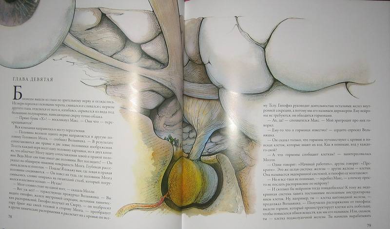 Иллюстрация 50 из 60 для Тайны анатомии - Кэрол Доннер | Лабиринт - книги. Источник: Трухина Ирина