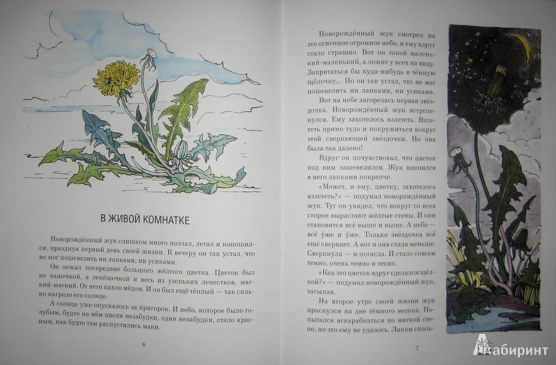 Иллюстрация 25 из 33 для Жёлтый, белый, лиловый - Нина Павлова | Лабиринт - книги. Источник: Трухина Ирина
