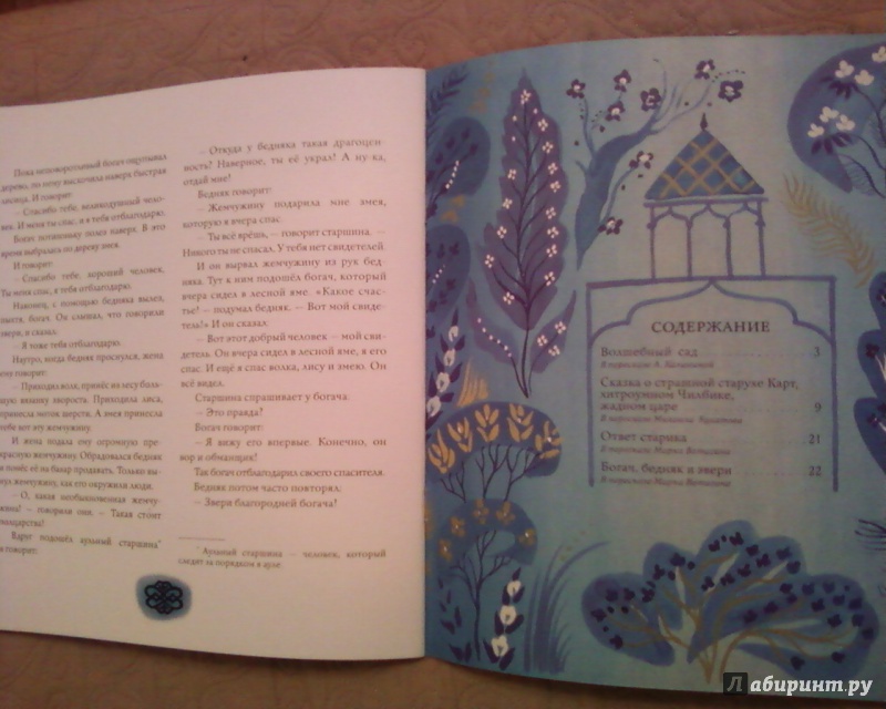 Иллюстрация 49 из 49 для Волшебный сад | Лабиринт - книги. Источник: Родионова  Надежда