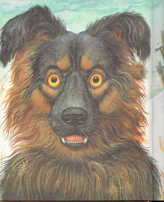 Иллюстрация 52 из 63 для Большая собачья книга - Толстой, Куприн, Крылов, Андреев, Ушинский | Лабиринт - книги. Источник: Стрекоза
