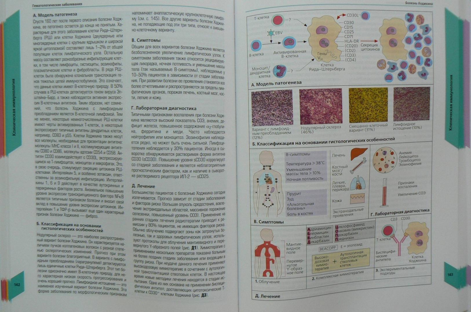 Иллюстрация 19 из 28 для Наглядная  иммунология - Бурместер, Пецутто | Лабиринт - книги. Источник: Лидия