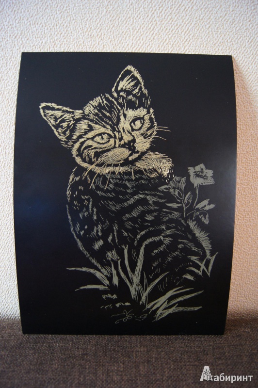 Иллюстрация 4 из 4 для Гравюра "Котик на лугу" (334011) | Лабиринт - игрушки. Источник: Тарасова  Ольга Викторовна