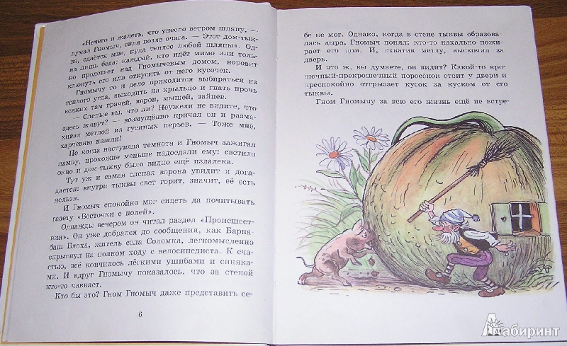 Иллюстрация 23 из 29 для Изюмка и Гном - Агнеш Балинт | Лабиринт - книги. Источник: Ромина мама