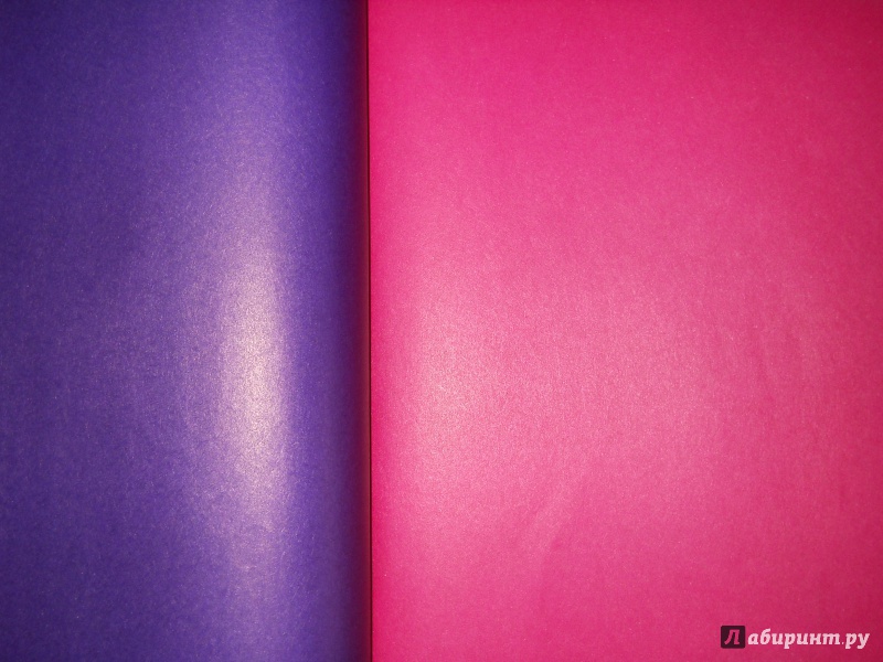 Иллюстрация 5 из 11 для Цветная бумага "Щенок в подсолнухах", А4, 16 листов 8 цветов (33596) | Лабиринт - канцтовы. Источник: Багринцева  Юлия