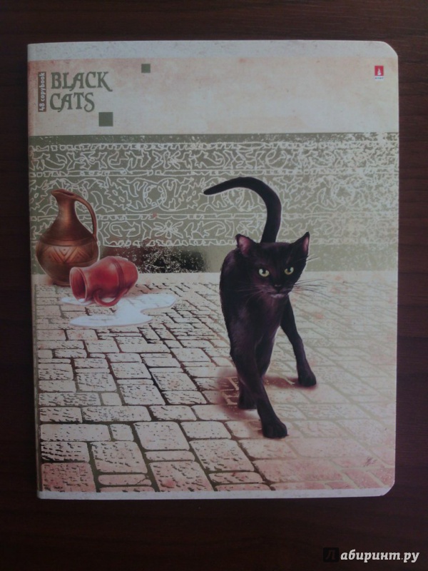 Иллюстрация 2 из 3 для Тетрадь общая "Чёрные кошки" (48 листов, клетка, в ассортименте) (7-48-648) | Лабиринт - канцтовы. Источник: Медня  Дарья Юрьевна