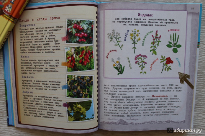 Иллюстрация 17 из 50 для Крым для детей - Алиса Бизяева | Лабиринт - книги. Источник: По страницам детских книг