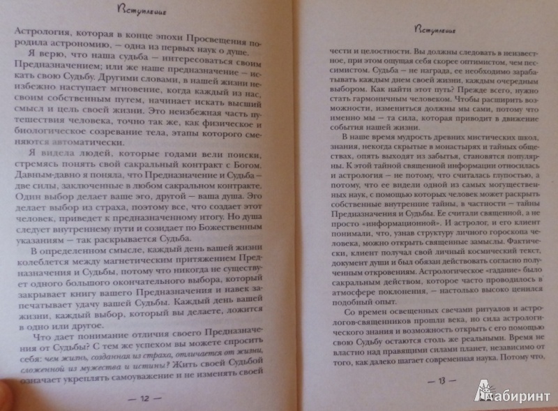 Иллюстрация 5 из 6 для Точка кризиса. Как следовать судьбе, оставаясь свободным - Роберт Отто | Лабиринт - книги. Источник: товарищ маузер