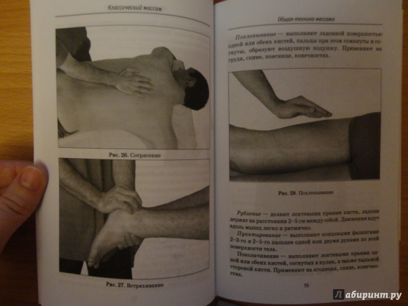Иллюстрация 7 из 7 для Полное руководство по общему, лечебному, точечному и косметическому массажу - Ингерлейб, Панаев, Морозова | Лабиринт - книги. Источник: Kristin