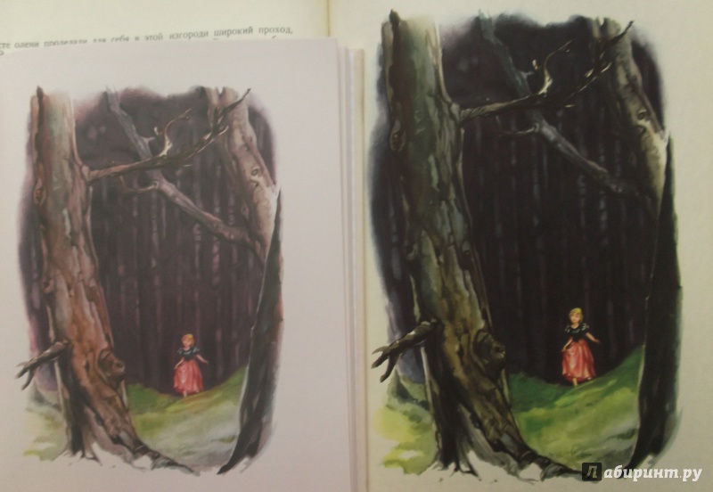 Иллюстрация 43 из 64 для Сказки - Ганс Андерсен | Лабиринт - книги. Источник: Агаточка