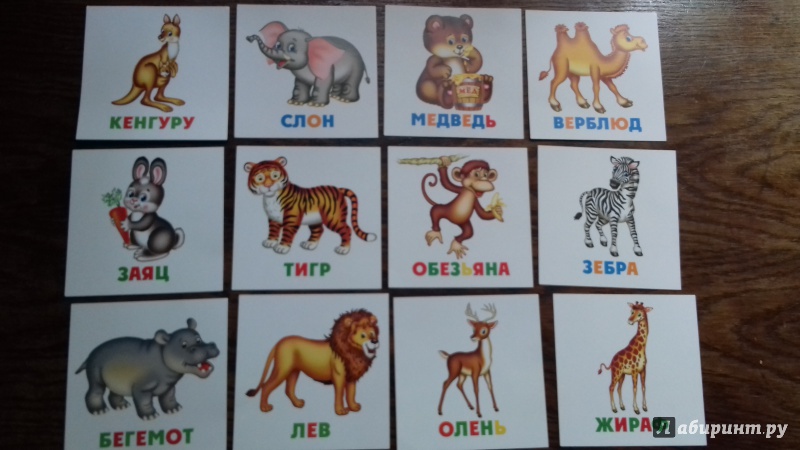 Иллюстрация 8 из 13 для Развивающие карточки Дикие животные (12шт) (37273-50) | Лабиринт - книги. Источник: (Климова)