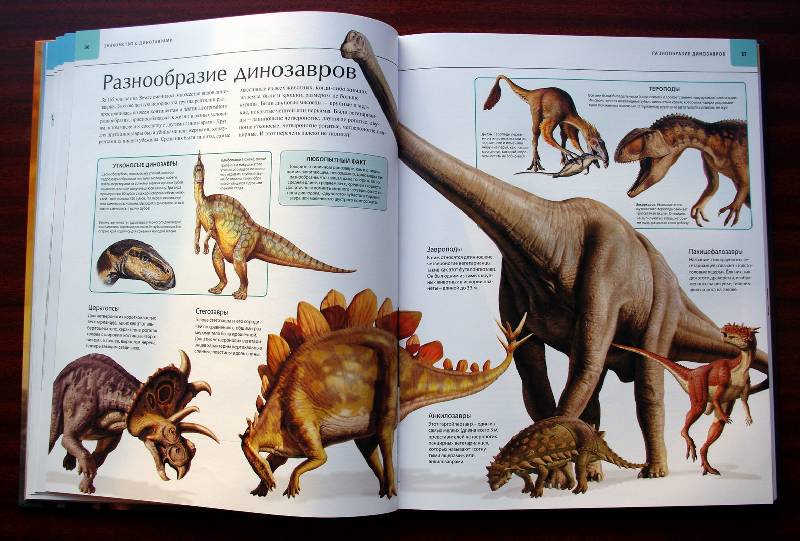 Иллюстрация 90 из 109 для Динозавры. Иллюстрированный атлас - Майкл Бретт-Шуман | Лабиринт - книги. Источник: Валерия