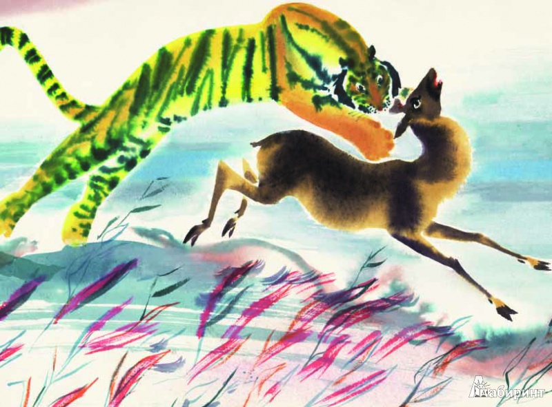 Иллюстрация 4 из 35 для Глупый тигр. Тибетская народная сказка | Лабиринт - книги. Источник: mif
