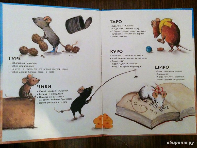 Иллюстрация 26 из 48 для Мышкин дом - Чисато Таширо | Лабиринт - книги. Источник: Natalie Leigh