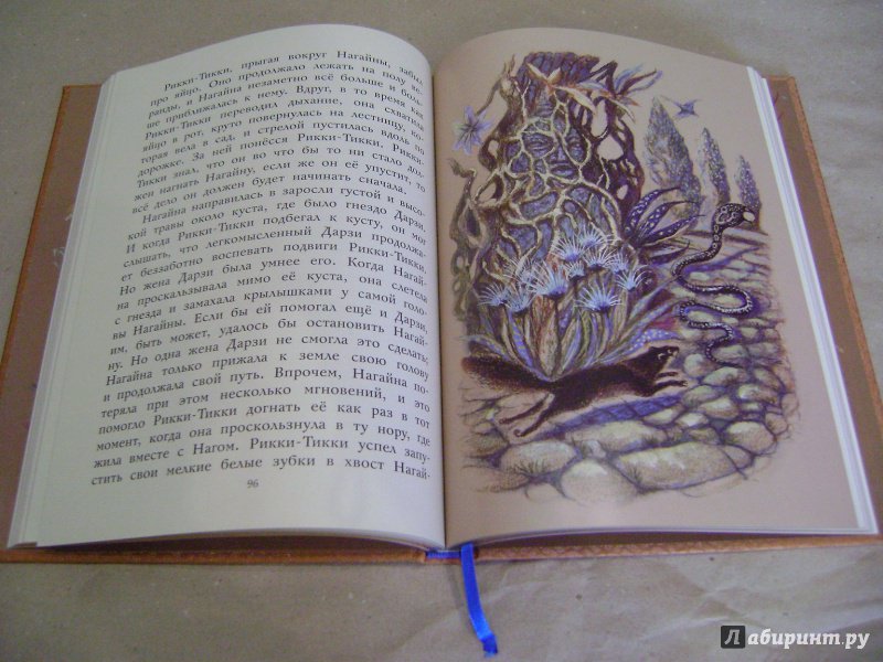 Иллюстрация 21 из 25 для Сказки - Редьярд Киплинг | Лабиринт - книги. Источник: Labi