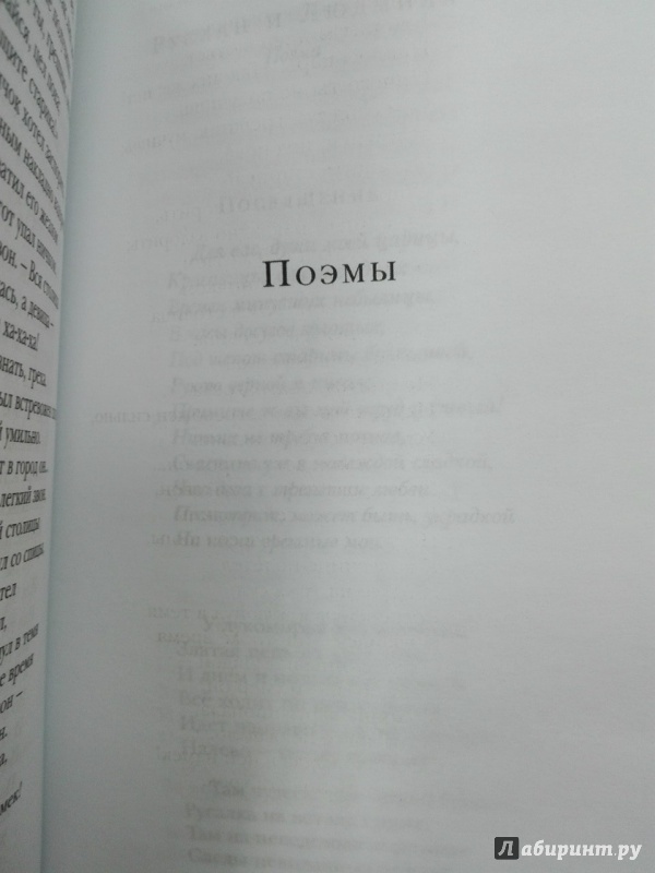 Иллюстрация 23 из 33 для Стихотворения - Александр Пушкин | Лабиринт - книги. Источник: NiNon