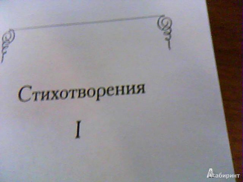 Иллюстрация 3 из 12 для Что-то сбудется - Георгий Иванов | Лабиринт - книги. Источник: Писарева  Мария Сергеевна