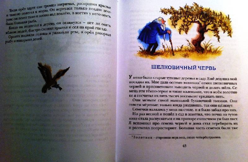 Иллюстрация 30 из 40 для Рассказы и сказки - Лев Толстой | Лабиринт - книги. Источник: masmar.su