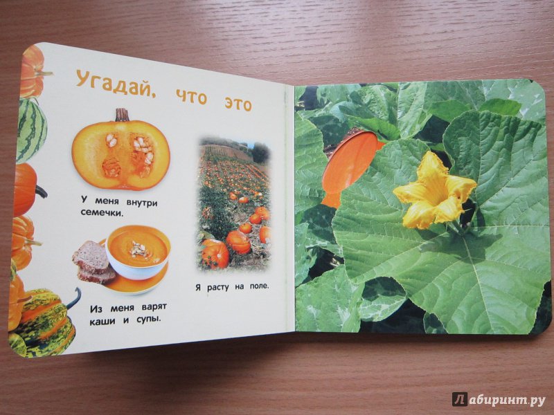 Иллюстрация 7 из 12 для Овощи и фрукты - Анна Прищеп | Лабиринт - книги. Источник: Кулыгина  Елена