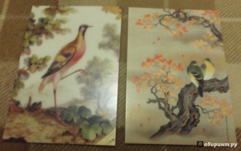 Иллюстрация 9 из 27 для Набор открыток Эрмитаж. Цветы и птицы, 16 штук | Лабиринт - сувениры. Источник: Агаточка