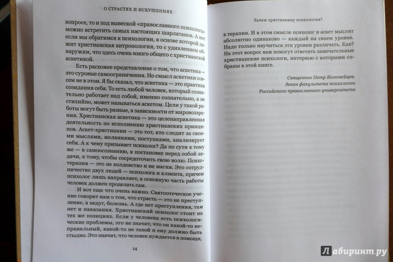 Иллюстрация 27 из 51 для О страстях и искушениях. Ответы православных психологов - Леонид Виноградов | Лабиринт - книги. Источник: marina.s