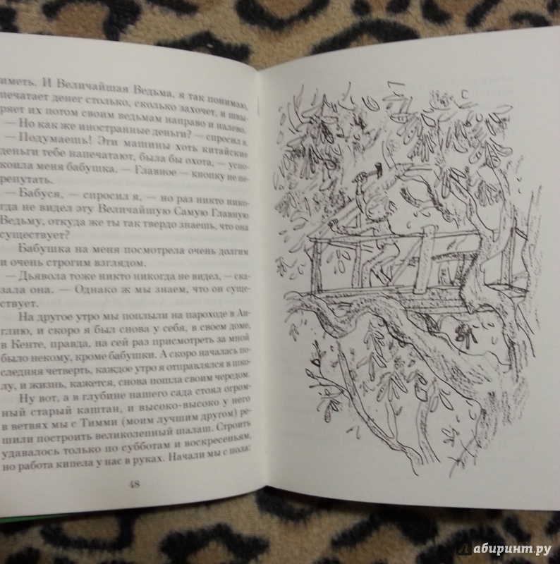 Иллюстрация 19 из 31 для Ведьмы - Роальд Даль | Лабиринт - книги. Источник: Мама маленького счастья