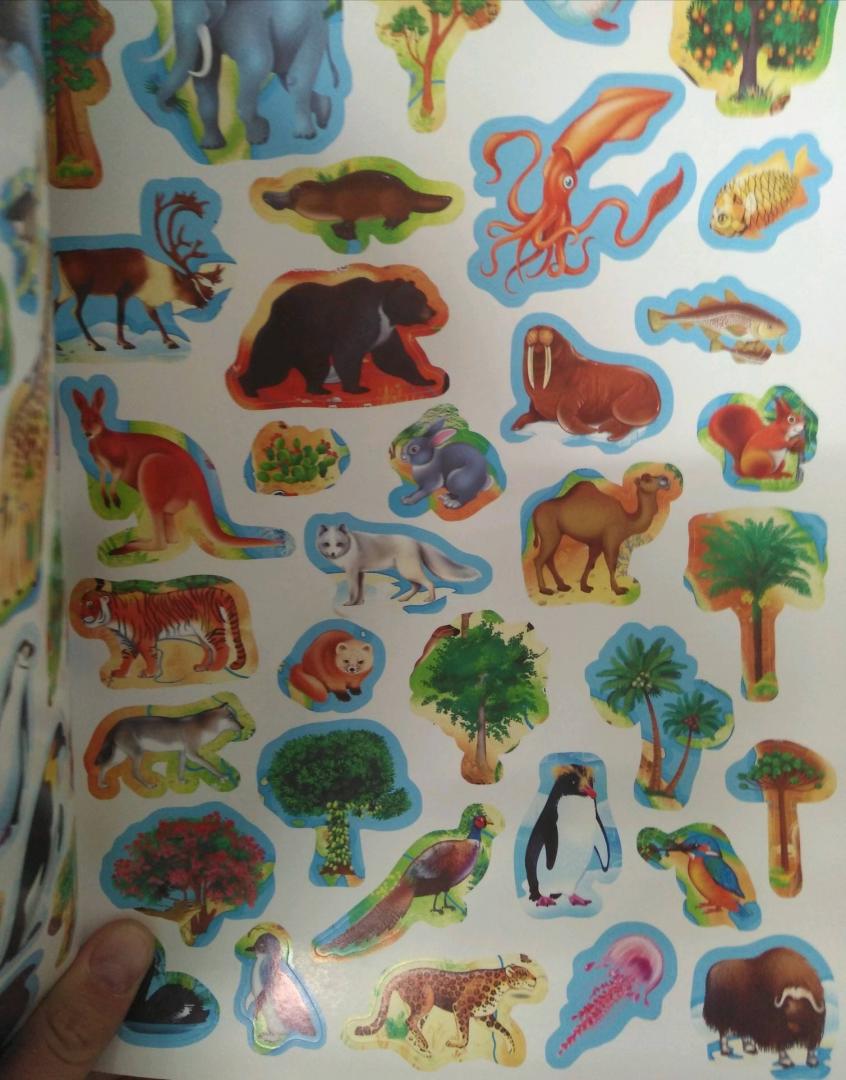 Иллюстрация 6 из 16 для Атлас Мира с наклейками. Животные и растения | Лабиринт - книги. Источник: Савчук Ирина