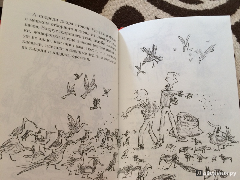 Иллюстрация 21 из 22 для Волшебный палец - Роальд Даль | Лабиринт - книги. Источник: Ann
