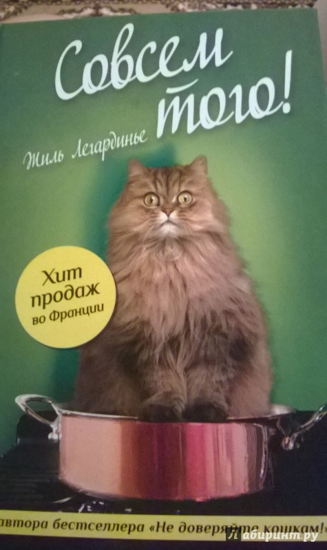 Иллюстрация 22 из 29 для Совсем того! - Жиль Легардинье | Лабиринт - книги. Источник: Nellichka