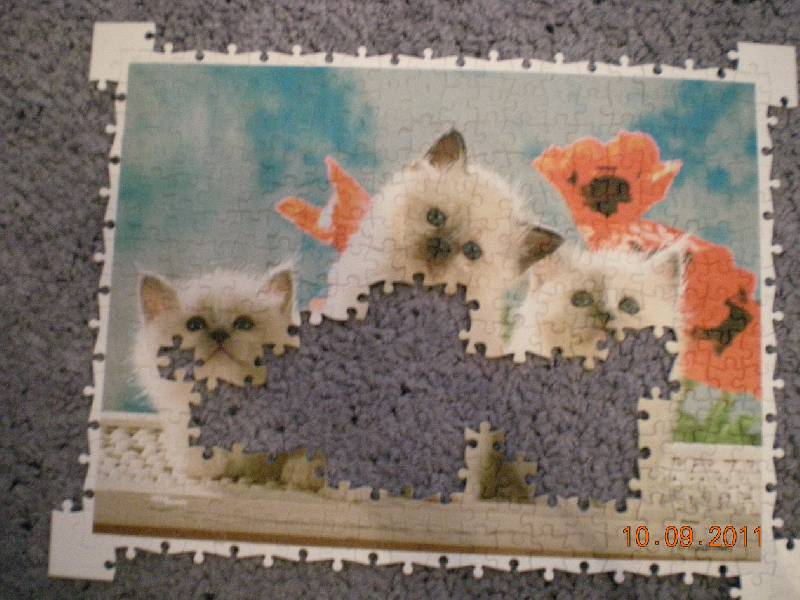 Иллюстрация 6 из 11 для Step Puzzle-300. "Котята" (98008) | Лабиринт - игрушки. Источник: Бестия