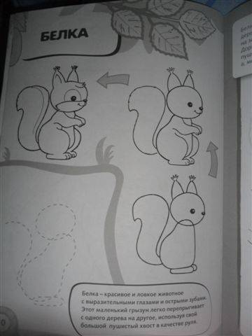 Иллюстрация 10 из 10 для Рисуем и раскрашиваем лесные животные | Лабиринт - книги. Источник: ***Лора***