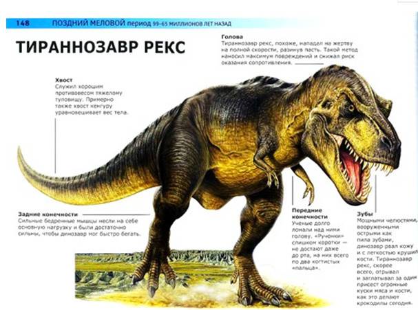 Иллюстрация 21 из 25 для Динозавры: монстры доисторической эпохи - Вероника Росс | Лабиринт - книги. Источник: Золотая рыбка